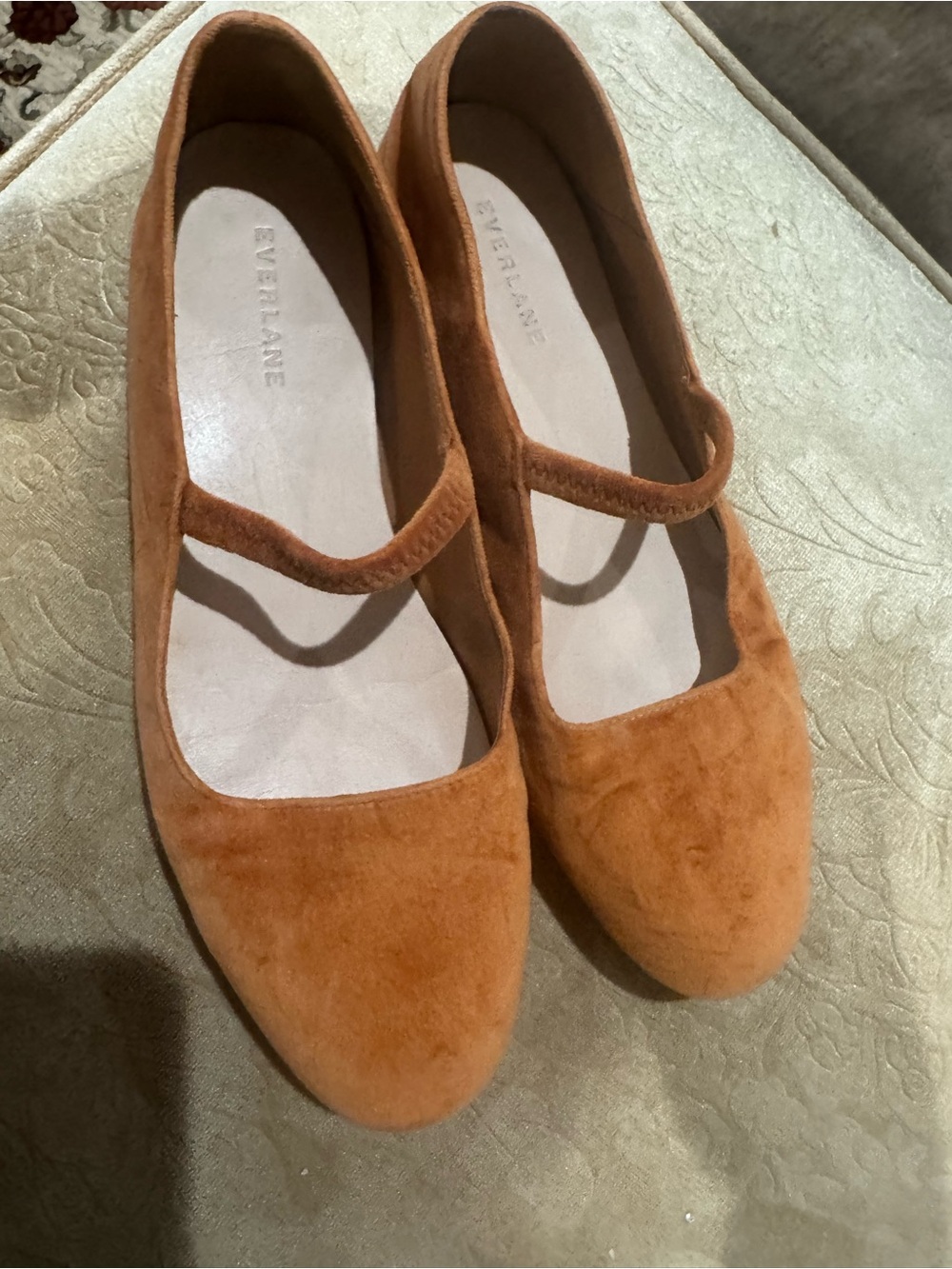 Everlane Women's Burnt Orange Suede Mary Jane Flats